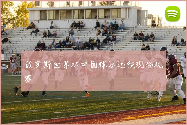 俄罗斯世界杯中国球迷远征现场观赛