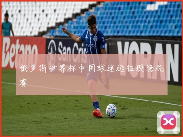 俄罗斯世界杯中国球迷远征现场观赛