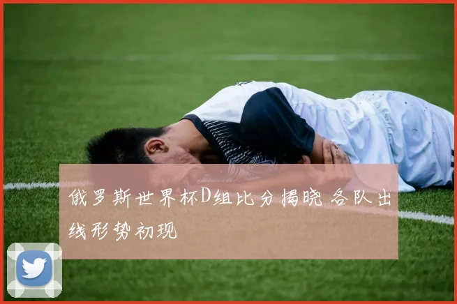 俄罗斯世界杯D组比分揭晓 各队出线形势初现