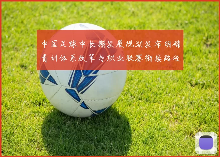 中国足球中长期发展规划发布明确青训体系改革与职业联赛衔接路径
