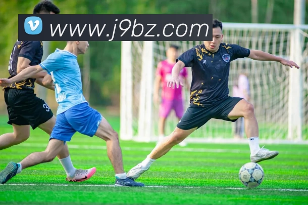 EMC易倍(官方网站)中国大陆 - 科技有限公司平台生态图